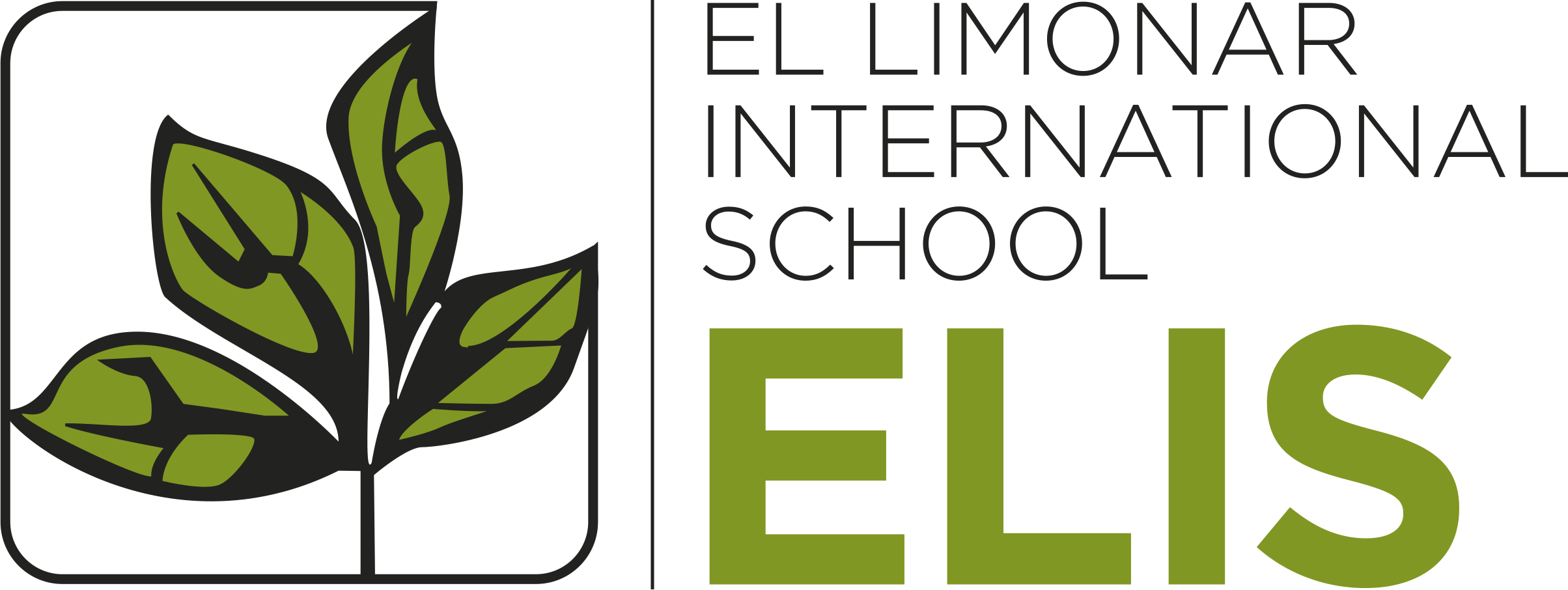 summer-school-register-your-interest-elis-el-limonar-international